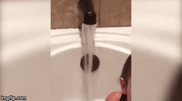 Fresh water drink | image tagged in gifs,fresh water,dog | made w/ Imgflip video-to-gif maker