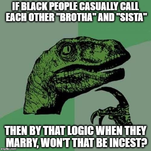 Philosoraptor | IF BLACK PEOPLE CASUALLY CALL EACH OTHER "BROTHA" AND "SISTA"; THEN BY THAT LOGIC WHEN THEY MARRY, WON'T THAT BE INCEST? | image tagged in memes,philosoraptor | made w/ Imgflip meme maker