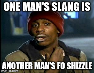 Y'all Got Any More Of That Meme | ONE MAN'S SLANG IS ANOTHER MAN'S FO SHIZZLE | image tagged in memes,yall got any more of | made w/ Imgflip meme maker