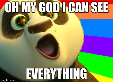 Kung Fu Panda | OH MY GOD I CAN SEE; EVERYTHING | image tagged in kung fu panda | made w/ Imgflip meme maker