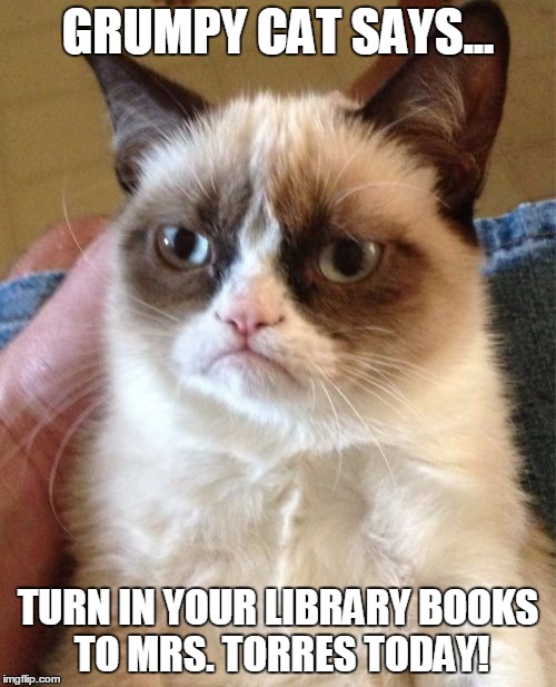 Grumpy Cat | GRUMPY CAT SAYS... TURN IN YOUR LIBRARY BOOKS TO MRS. TORRES TODAY! | image tagged in memes,grumpy cat | made w/ Imgflip meme maker