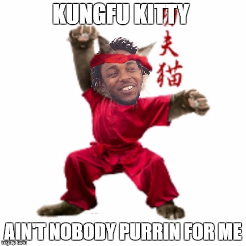 KungFU Kitty | KUNGFU KITTY; AIN'T NOBODY PURRIN FOR ME | image tagged in kungfukitty,damn,aintnobodypurrinforme,feel | made w/ Imgflip meme maker