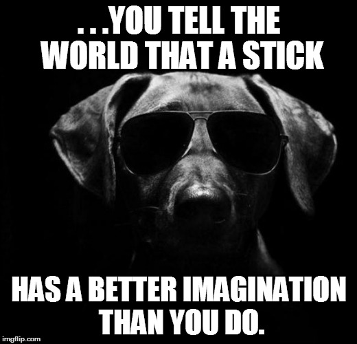 . . .YOU TELL THE WORLD THAT A STICK HAS A BETTER IMAGINATION THAN YOU DO. | made w/ Imgflip meme maker