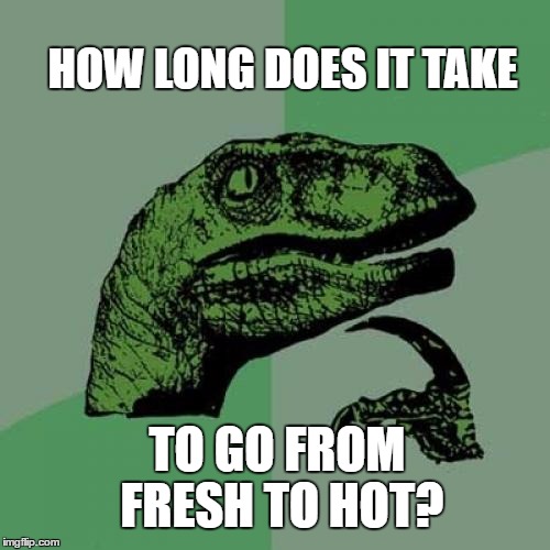Philosoraptor Meme | HOW LONG DOES IT TAKE; TO GO FROM FRESH TO HOT? | image tagged in memes,philosoraptor | made w/ Imgflip meme maker