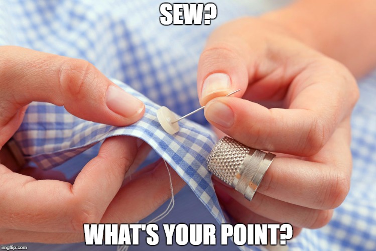 SEW? WHAT'S YOUR POINT? | image tagged in sew | made w/ Imgflip meme maker