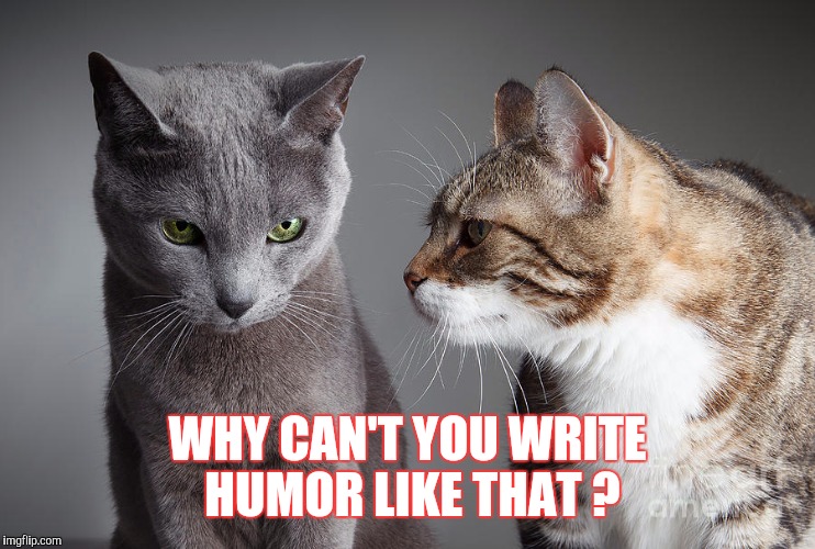 WHY CAN'T YOU WRITE HUMOR LIKE THAT ? | image tagged in you didn't share | made w/ Imgflip meme maker