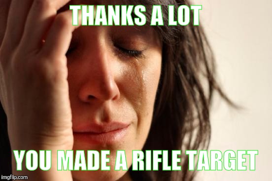 First World Problems Meme | THANKS A LOT YOU MADE A RIFLE TARGET | image tagged in memes,first world problems | made w/ Imgflip meme maker