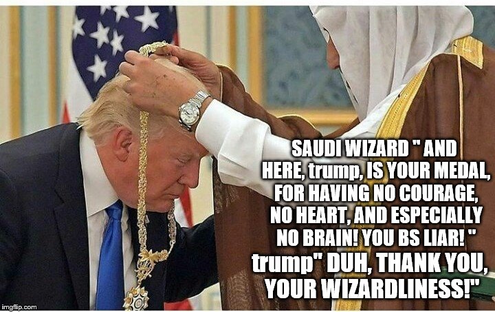 trump gets a Saudi medal! JEEEZ! | SAUDI WIZARD " AND HERE, trump, IS YOUR MEDAL, FOR HAVING NO COURAGE, NO HEART, AND ESPECIALLY NO BRAIN! YOU BS LIAR! "; trump" DUH, THANK YOU, YOUR WIZARDLINESS!" | image tagged in donald trump is an idiot,donald trump is an douche,jeeez,saudi medal,wizard of saudi arabia,chump trump medal | made w/ Imgflip meme maker