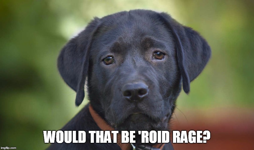 WOULD THAT BE 'ROID RAGE? | made w/ Imgflip meme maker