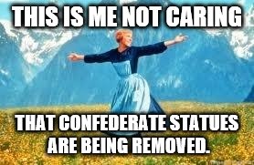 Look At All These | THIS IS ME NOT CARING; THAT CONFEDERATE STATUES ARE BEING REMOVED. | image tagged in memes,look at all these | made w/ Imgflip meme maker