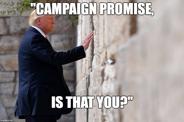 Trump Campaign Promise | "CAMPAIGN PROMISE, IS THAT YOU?" | image tagged in trump,wall | made w/ Imgflip meme maker