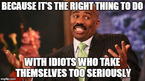 Steve Harvey Meme | BECAUSE IT'S THE RIGHT THING TO DO WITH IDIOTS WHO TAKE THEMSELVES TOO SERIOUSLY | image tagged in memes,steve harvey | made w/ Imgflip meme maker