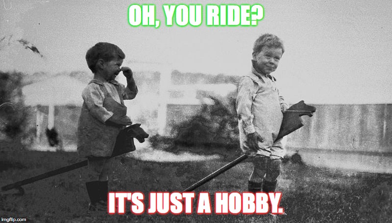 Hobby horse | OH, YOU RIDE? IT'S JUST A HOBBY. | image tagged in hobby horse adscribe | made w/ Imgflip meme maker