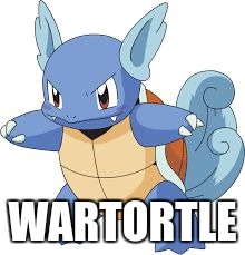 WARTORTLE | image tagged in wartortle | made w/ Imgflip meme maker