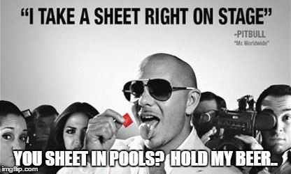 YOU SHEET IN POOLS?  HOLD MY BEER.. | image tagged in i sheet on stage | made w/ Imgflip meme maker