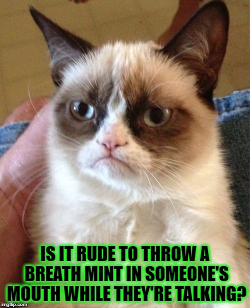 Grumpy Cat Meme | IS IT RUDE TO THROW A BREATH MINT IN SOMEONE'S MOUTH WHILE THEY'RE TALKING? | image tagged in memes,grumpy cat | made w/ Imgflip meme maker