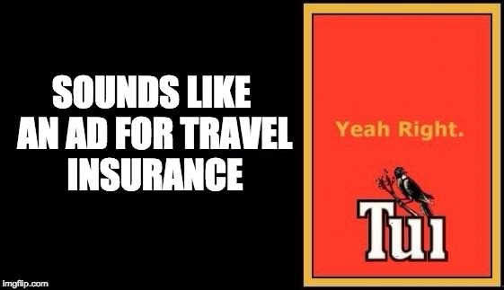Tui | SOUNDS LIKE AN AD FOR TRAVEL INSURANCE | image tagged in tui | made w/ Imgflip meme maker