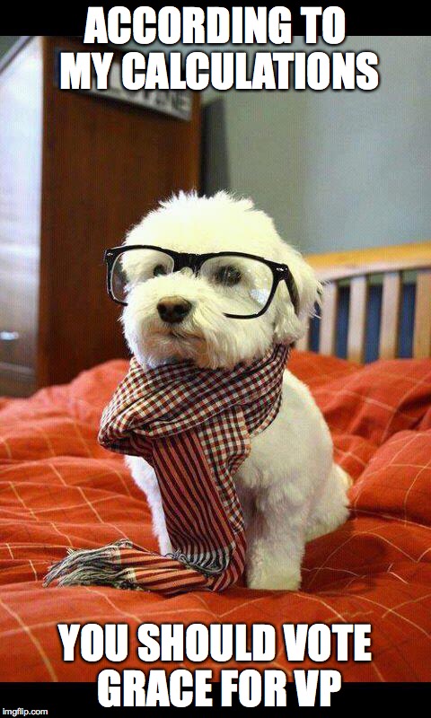 Intelligent Dog | ACCORDING TO MY CALCULATIONS; YOU SHOULD VOTE GRACE FOR VP | image tagged in memes,intelligent dog | made w/ Imgflip meme maker