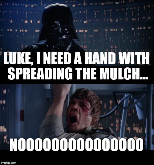 Star Wars No | LUKE, I NEED A HAND WITH SPREADING THE MULCH... NOOOOOOOOOOOOOOO | image tagged in memes,star wars no | made w/ Imgflip meme maker