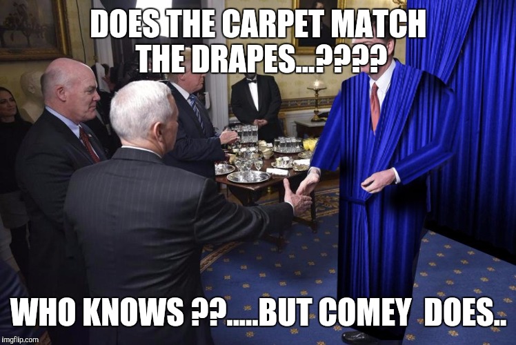 Comey Hiding | DOES THE CARPET MATCH THE DRAPES...???? WHO KNOWS ??.....BUT COMEY  DOES.. | image tagged in comey hiding | made w/ Imgflip meme maker