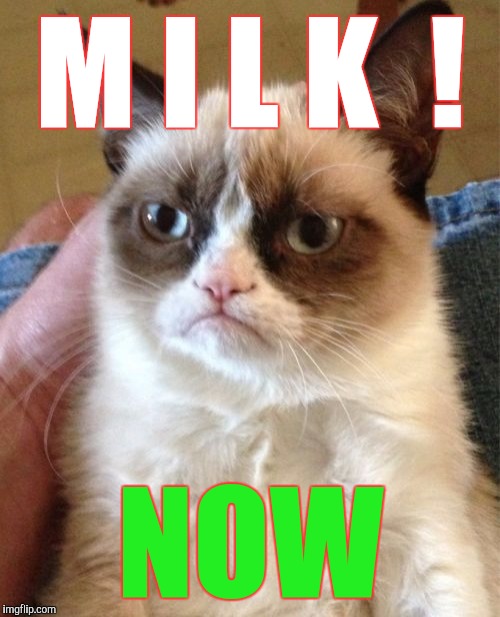 Grumpy Cat Meme | M I L K  ! NOW | image tagged in memes,grumpy cat | made w/ Imgflip meme maker
