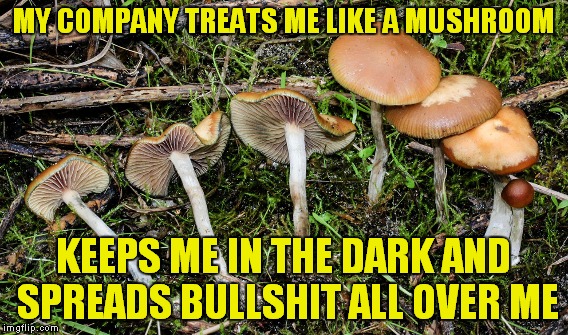 MY COMPANY TREATS ME LIKE A MUSHROOM KEEPS ME IN THE DARK AND SPREADS BULLSHIT ALL OVER ME | made w/ Imgflip meme maker