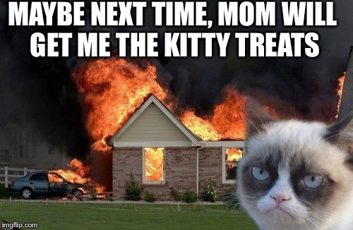 Burn Kitty | MAYBE NEXT TIME, MOM WILL GET ME THE KITTY TREATS | image tagged in memes,burn kitty,grumpy cat | made w/ Imgflip meme maker