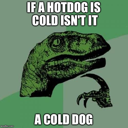 Philosoraptor | IF A HOTDOG IS COLD ISN'T IT; A COLD DOG | image tagged in memes,philosoraptor | made w/ Imgflip meme maker