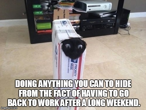 DOING ANYTHING YOU CAN TO HIDE FROM THE FACT OF HAVING TO GO BACK TO WORK AFTER A LONG WEEKEND. | image tagged in hiding to keep from having to go to work | made w/ Imgflip meme maker