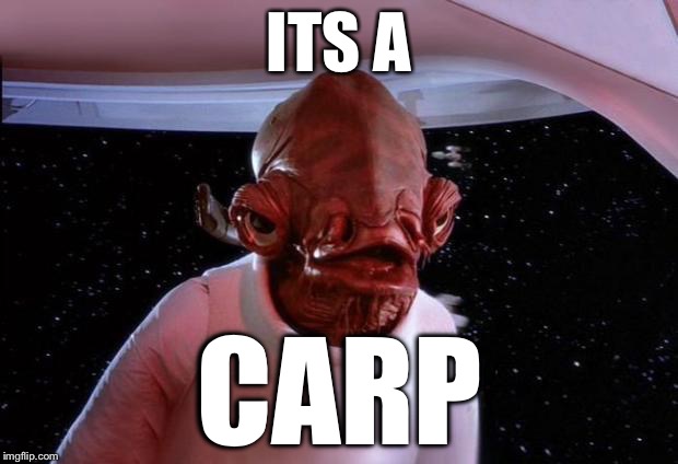 Trap | ITS A CARP | image tagged in trap | made w/ Imgflip meme maker
