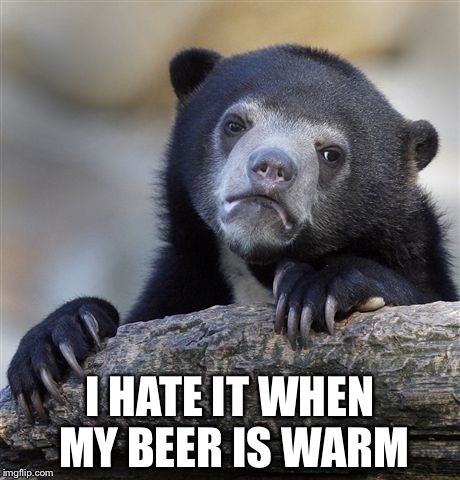 Confession Bear Meme | I HATE IT WHEN MY BEER IS WARM | image tagged in memes,confession bear | made w/ Imgflip meme maker