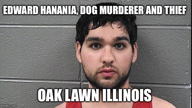 EDWARD HANANIA, DOG MURDERER AND THIEF; OAK LAWN ILLINOIS | image tagged in edward hanania dog killer oak lawn illinois chicago | made w/ Imgflip meme maker