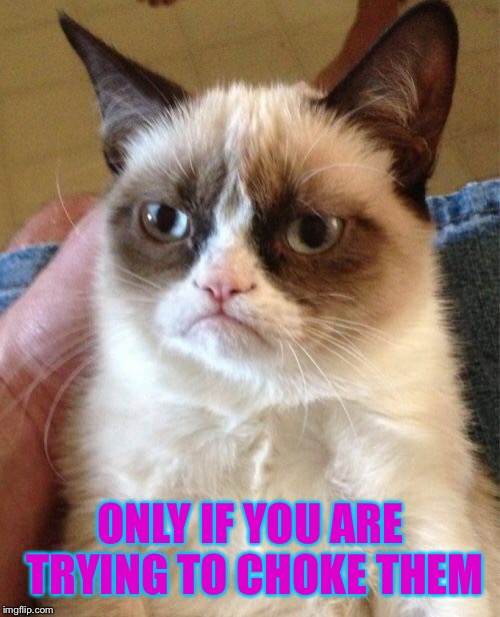 Grumpy Cat Meme | ONLY IF YOU ARE TRYING TO CHOKE THEM | image tagged in memes,grumpy cat | made w/ Imgflip meme maker