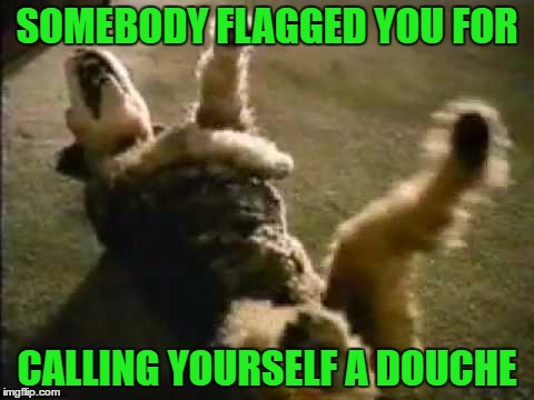 SOMEBODY FLAGGED YOU FOR CALLING YOURSELF A DOUCHE | made w/ Imgflip meme maker