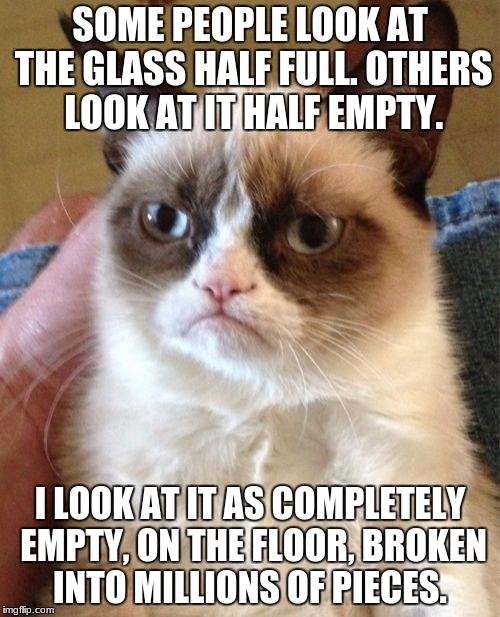 Grumpy Cat Meme | SOME PEOPLE LOOK AT THE GLASS HALF FULL. OTHERS LOOK AT IT HALF EMPTY. I LOOK AT IT AS COMPLETELY EMPTY, ON THE FLOOR, BROKEN INTO MILLIONS OF PIECES. | image tagged in memes,grumpy cat | made w/ Imgflip meme maker