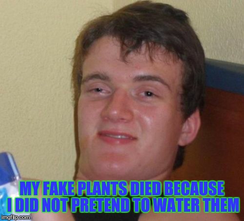10 Guy | MY FAKE PLANTS DIED BECAUSE I DID NOT PRETEND TO WATER THEM | image tagged in memes,10 guy,mitch hedberg,quotes | made w/ Imgflip meme maker