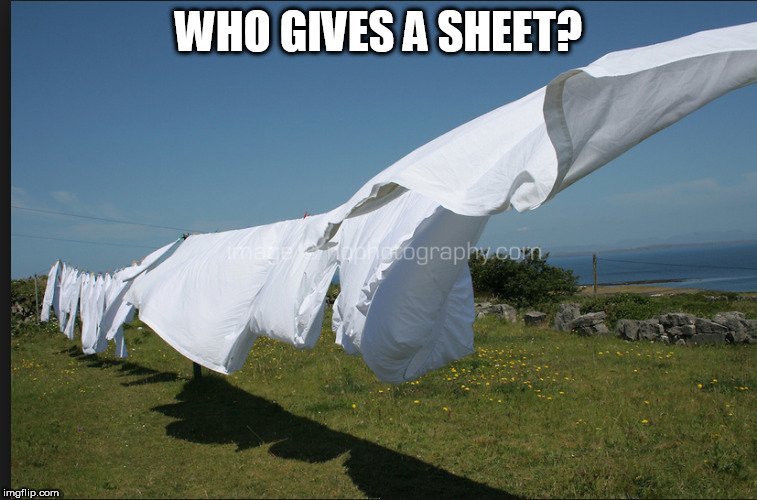 WHO GIVES A SHEET? | made w/ Imgflip meme maker