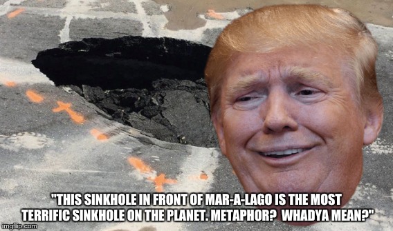 Sinkhole at Mar-A-Lago | "THIS SINKHOLE IN FRONT OF MAR-A-LAGO IS THE MOST TERRIFIC SINKHOLE ON THE PLANET. METAPHOR?  WHADYA MEAN?" | image tagged in trump | made w/ Imgflip meme maker