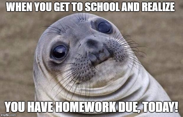 Awkward Moment Sealion | WHEN YOU GET TO SCHOOL AND REALIZE; YOU HAVE HOMEWORK DUE, TODAY! | image tagged in memes,awkward moment sealion | made w/ Imgflip meme maker