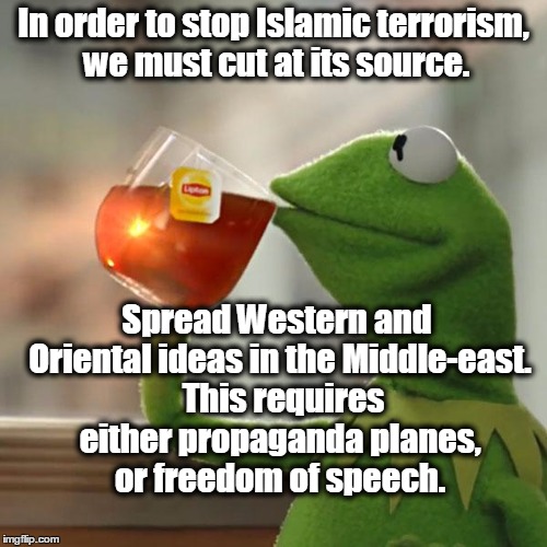 But That's None Of My Business Meme | In order to stop Islamic terrorism, we must cut at its source. Spread Western and Oriental ideas in the Middle-east.  This requires either propaganda planes, or freedom of speech. | image tagged in memes,but thats none of my business,kermit the frog,isis,muslims,terrorism | made w/ Imgflip meme maker