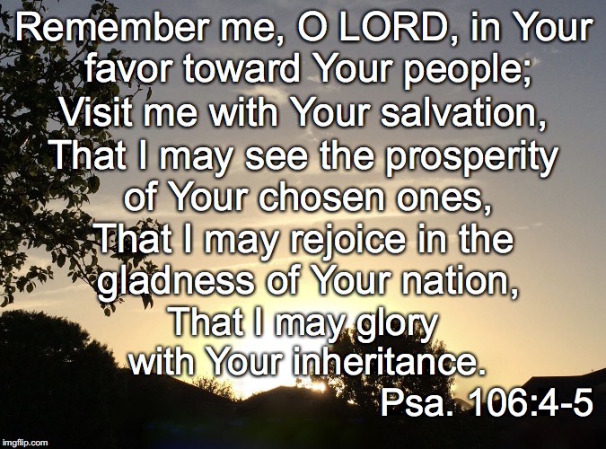Remember me, O LORD, in Your favor toward Your people;; Visit me with Your salvation, That I may see the prosperity of Your chosen ones, That I may rejoice in the gladness of Your nation, That I may glory with Your inheritance. Psa. 106:4-5 | image tagged in favor | made w/ Imgflip meme maker