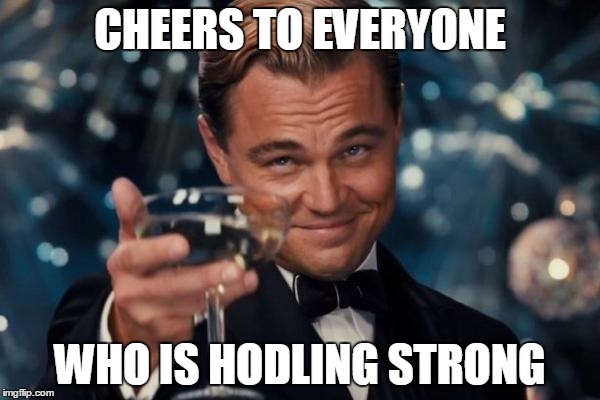 Leonardo Dicaprio Cheers Meme | CHEERS TO EVERYONE; WHO IS HODLING STRONG | image tagged in memes,leonardo dicaprio cheers | made w/ Imgflip meme maker