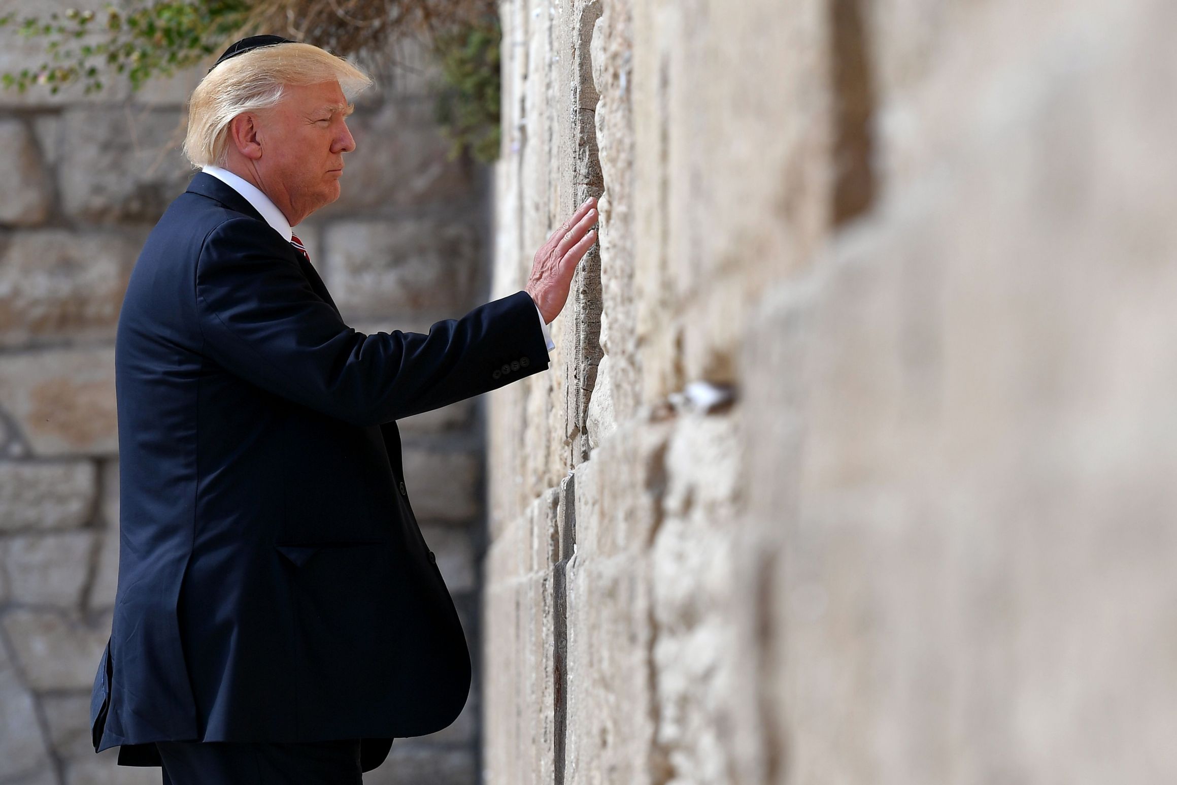 High Quality trump at wall Blank Meme Template