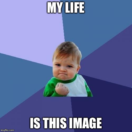Success Kid | MY LIFE; IS THIS IMAGE | image tagged in memes,success kid | made w/ Imgflip meme maker
