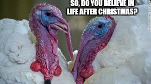   Food Philosophy  | SO, DO YOU BELIEVE IN LIFE AFTER CHRISTMAS? | image tagged in memes,christmas memes,funny,wild turkey 101 | made w/ Imgflip meme maker