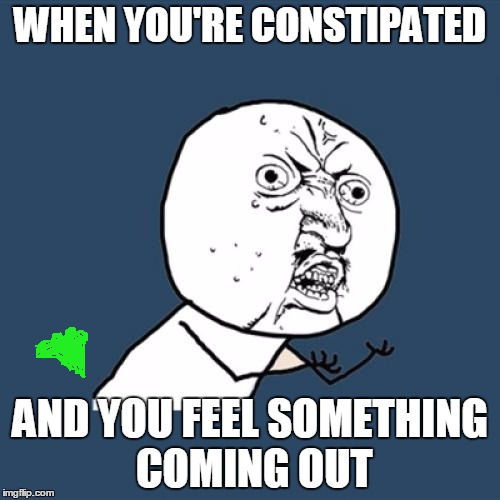 Y U No | WHEN YOU'RE CONSTIPATED; AND YOU FEEL SOMETHING COMING OUT | image tagged in memes,y u no | made w/ Imgflip meme maker