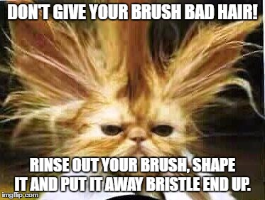 bad hair day | DON'T GIVE YOUR BRUSH BAD HAIR! RINSE OUT YOUR BRUSH, SHAPE IT AND PUT IT AWAY BRISTLE END UP. | image tagged in bad hair day | made w/ Imgflip meme maker