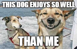 Original Stoner Dog Meme | THIS DOG ENJOYS SO WELL; THAN ME | image tagged in memes,original stoner dog | made w/ Imgflip meme maker