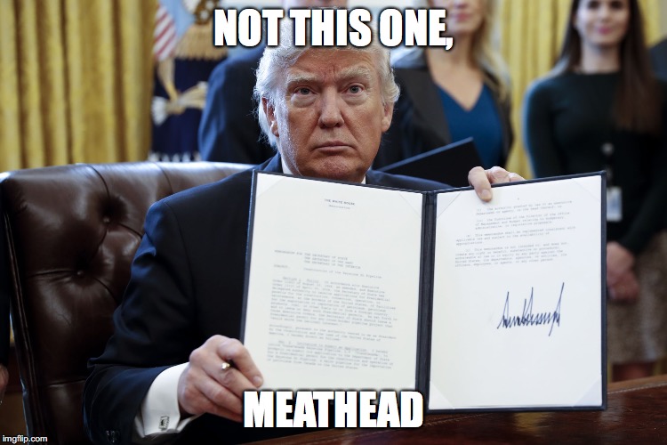 Donald Trump Executive Order | NOT THIS ONE, MEATHEAD | image tagged in donald trump executive order | made w/ Imgflip meme maker