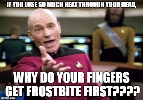 Don't you think so? | IF YOU LOSE SO MUCH HEAT THROUGH YOUR HEAD, WHY DO YOUR FINGERS GET FROSTBITE FIRST???? | image tagged in memes,picard wtf | made w/ Imgflip meme maker